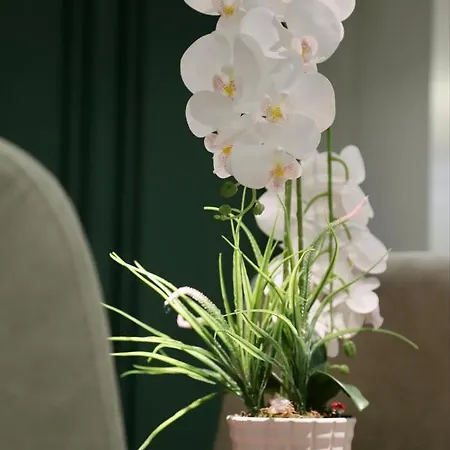 Daire La Grand - New Bazaar