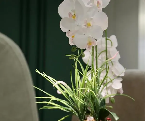 Apartmán La Grand - New Bazaar